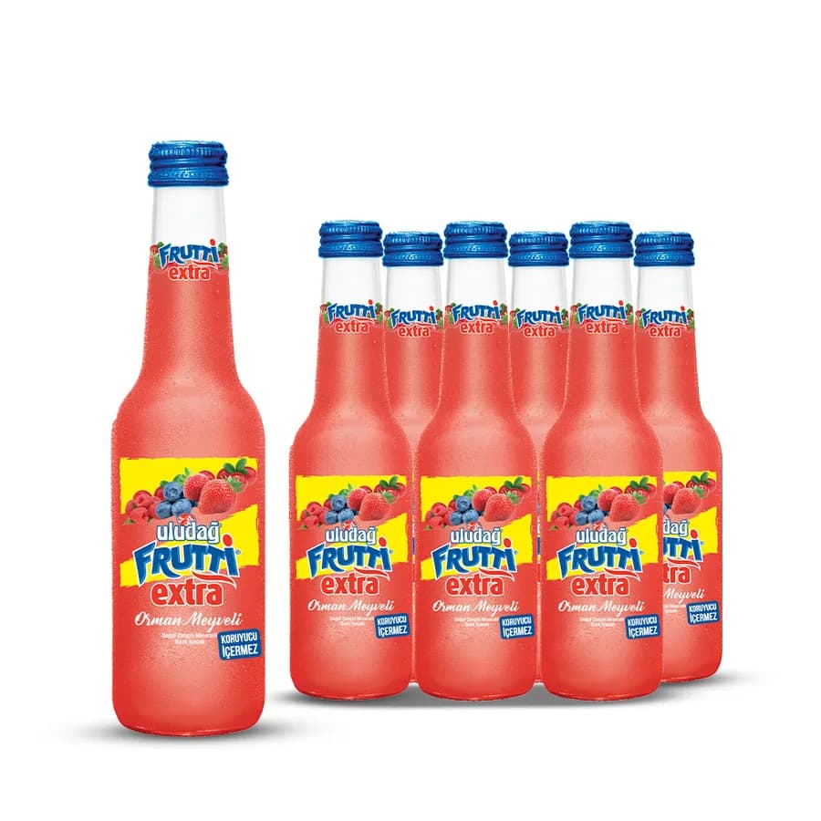 Uludag Mineral Water w Forest Fruit Juice 250ml